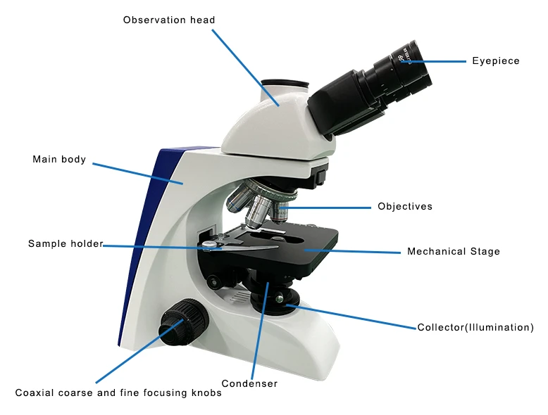 microscope structure