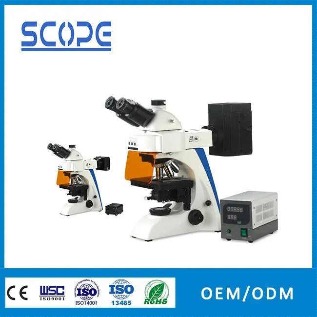 China high power fluorescence microscope professional instrument