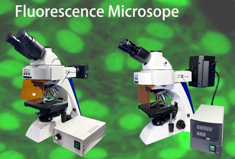 ترقية جديدة لمجهر الإسفار المستقيم